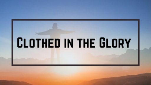 CLOTHED IN GLORY