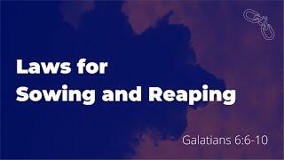 Laws for Sowing and Reaping (Galatians 6:6-10)