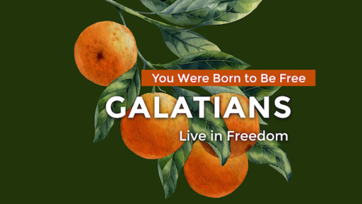 Aug 22 -Live in Freedom/Galatians 5