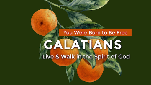 Aug 29 -Live & Walk in the Spirit of God/Gal 5:16-6:10/Rom 8:8-11