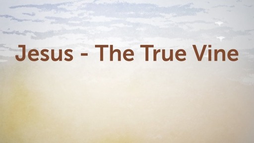 Jesus - The True Vine (2)
