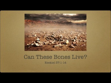 Can These Dry Bones Live? 