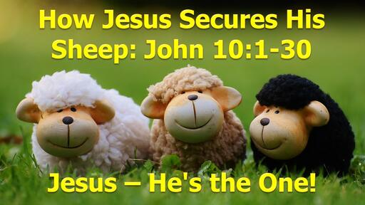 How Jesus Secures His Sheep
