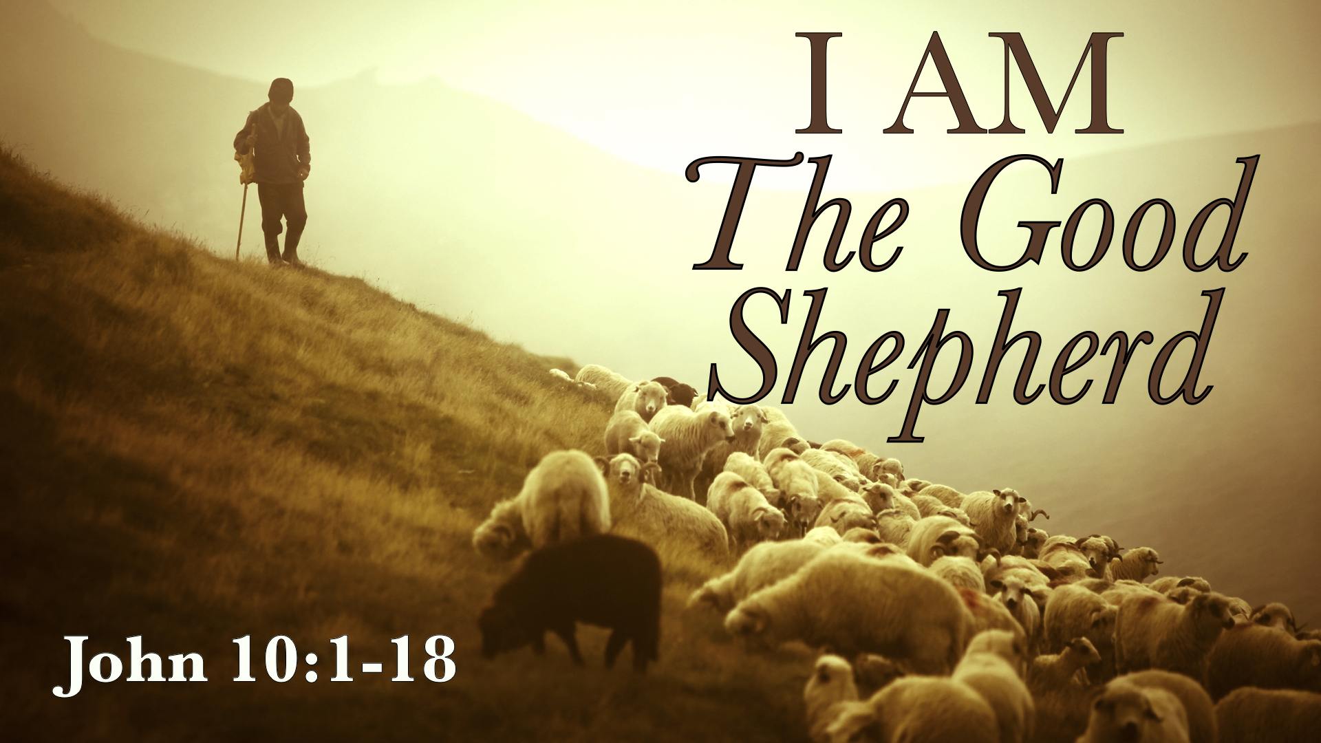 07-25-21 - 4-I Am the Good Shepherd - Logos Sermons