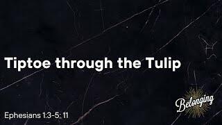 Ephesians 1:3-5; 11 - Tiptoe through the Tulip