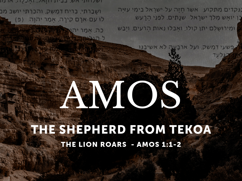 The Lion Roars (Amos)