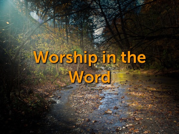 Psalm 145 Pastor Steve Logos Sermons psalm-145-pastor-steve-logos-sermons