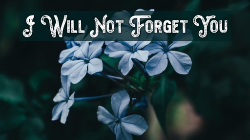 I Will Not Forget You
