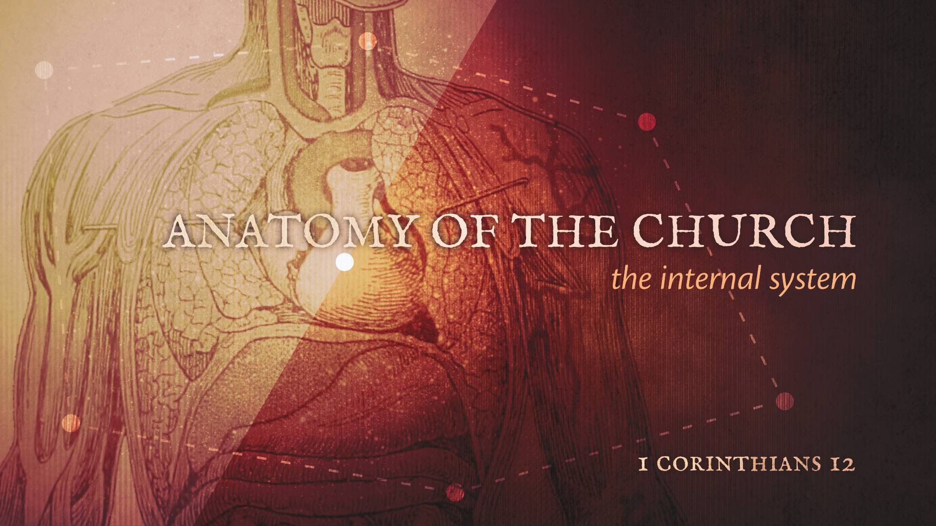 anatomy-of-the-church-the-internal-systems-part-2-logos-sermons