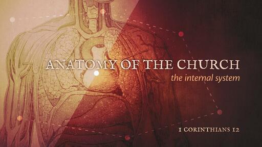 Anatomy of the Church: The Internal Systems (Part 3)