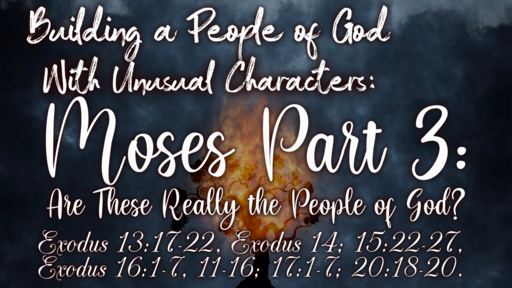 Building a People of God With Unusual Characters: Moses Part III: Are These Really the People of God?