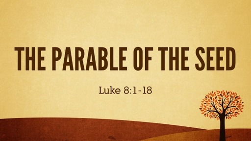 The Parable of the Seed