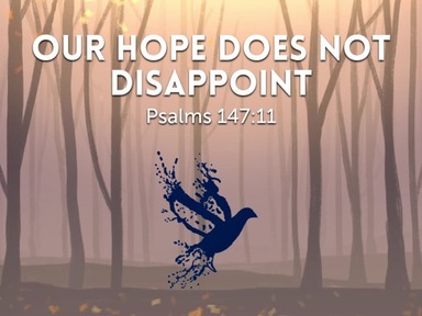 Our Hope Does Not Disappoint