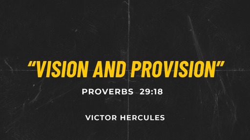 "Vision and Provision"
