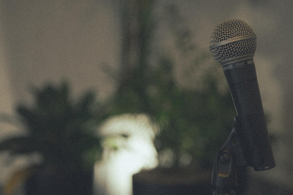 Microphone large preview