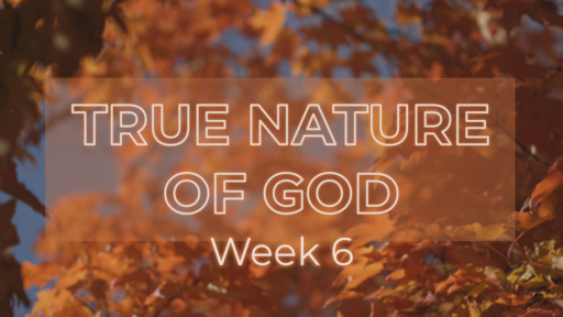 True Nature of God Week 6