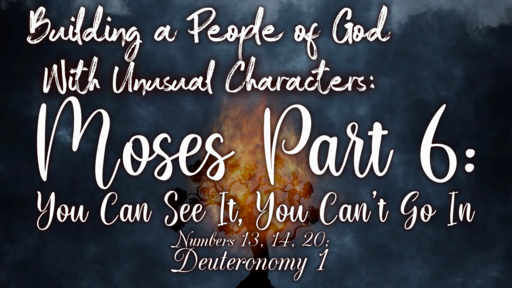 Building a People of God with Unusual Characters: Moses, Part VI: You Can See It, You Can’t Go In
