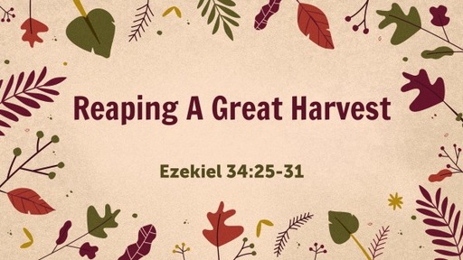 Reaping A Great Harvest