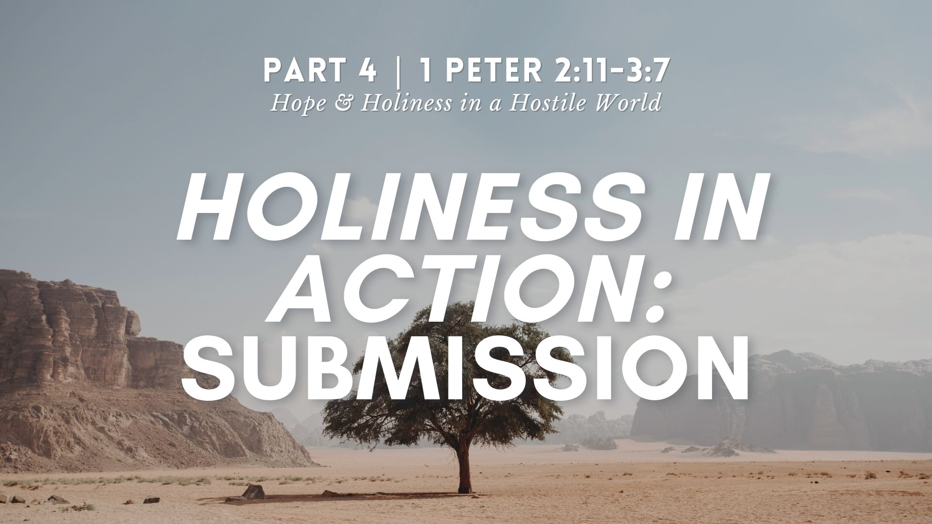 Holiness in action: Submission | 1 Peter 2:11-3:7 - Logos Sermons