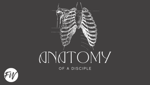 Anatomy of a Disciple