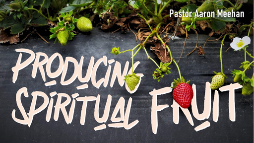Producing Spiritual Fruit