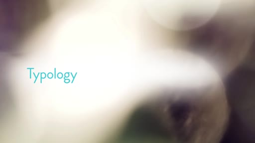 Typology