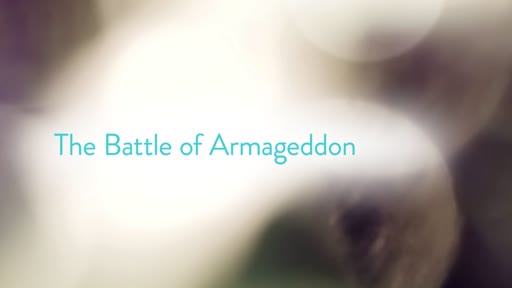 The Battle of Armageddon