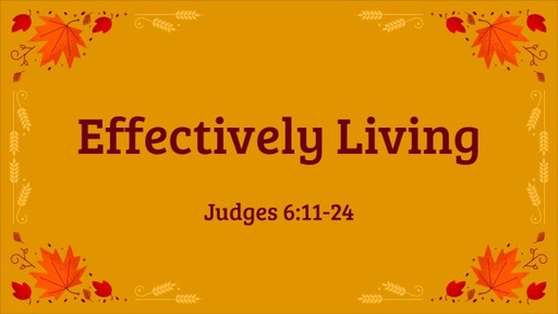 Effectively Living