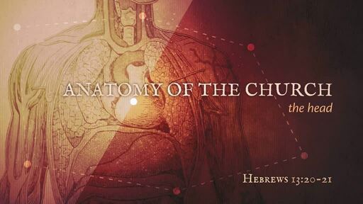 Anatomy of the Church: The Head