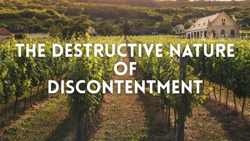 The destructive nature of discontent