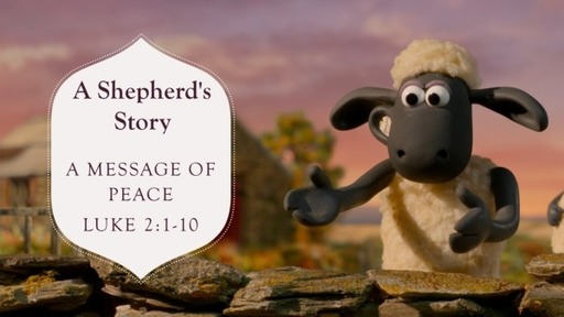 Shepherd's Story: Peace