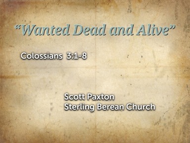 "Wanted Dead and Alive"