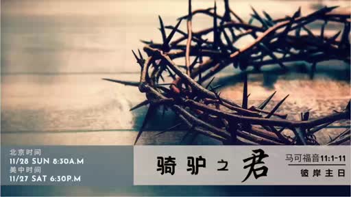 Mark 11.1-11 骑驴之王