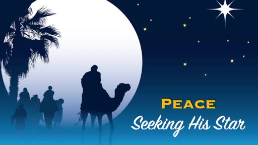 Seeking His Star: Peace