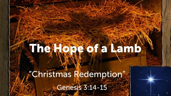 The Hope of a Lamb - Faithlife Sermons