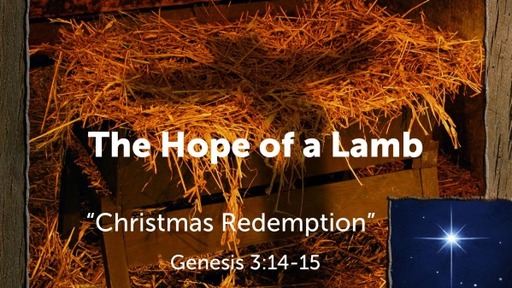 The Hope of a Lamb
