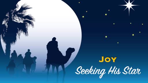 Seeking His Star: Joy