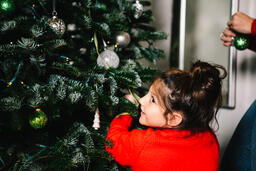 Young Girl Decorating the Christmas Tree  image 2