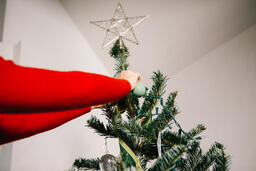 Woman's Hand Hanging a Christmas Ornament  image 2