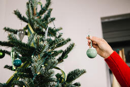 Woman's Hand Hanging a Christmas Ornament  image 1