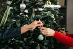 Hands Sharing a Christmas Ornament in Front of the Tree  image 3