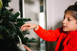 Young Girl Decorating the Christmas Tree  image 2