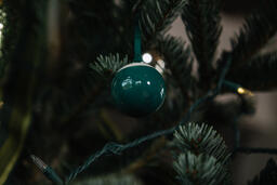 An Ornament Hanging on the Christmas Tree  image 1