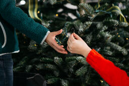 Kids' Hands Sharing Christmas Ornaments in Front of the Tree  image 3
