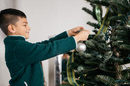 Young Boy Decorating the Christmas Tree  image 1