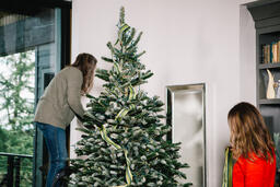 Two Women Decorating the Christmas Tree  image 2