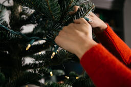 Woman's Hands Putting Lights on the Christmas Tree  image 2