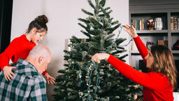 Mother and Daughter Decorating the Christmas Tree Together  image 4