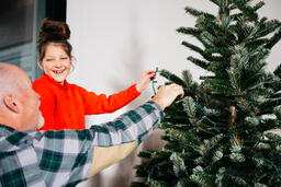 Grandpa and Granddaughter Decorating a Christmas Tree Together  image 3