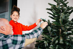 Grandpa and Granddaughter Decorating a Christmas Tree Together  image 1